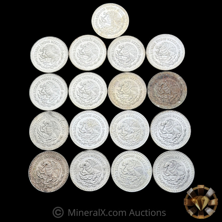 x17 1oz Mixed Dates Libertad Silver Coin Lot