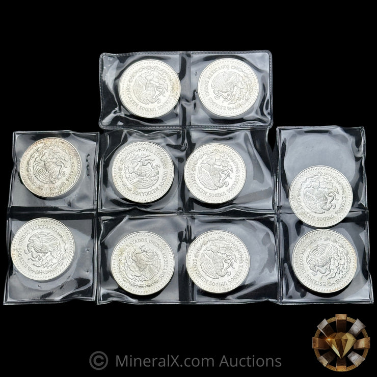 x10 1oz 1989 Libertad Silver Coin Lot