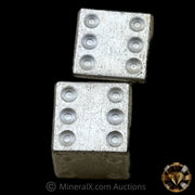 x2 1oz NWTM Silver Dice