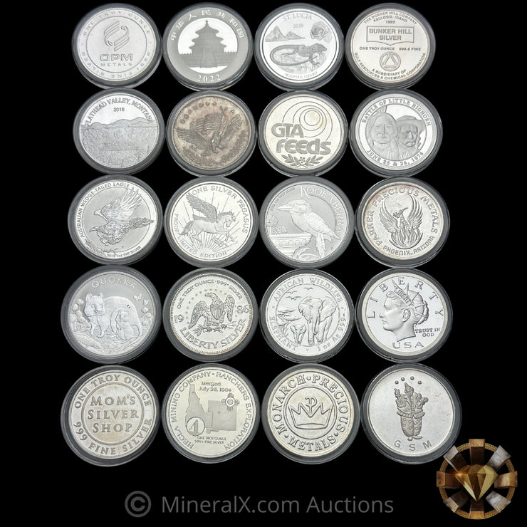 x20 1oz Silver Coin Lot (20oz Total Silver)